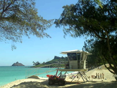 081106view25.jpg