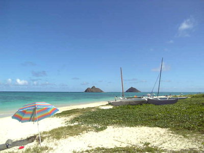 081106view60.jpg