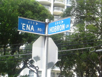 081105view2.jpg