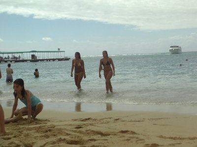 081105hilton12.jpg