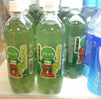 10706Hokkaido34.jpg