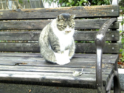 071229緑道公園03.jpg