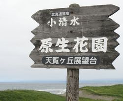 10706Hokkaido79.jpg