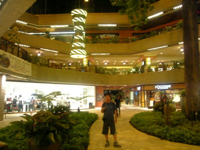 081104Waikiki3.jpg
