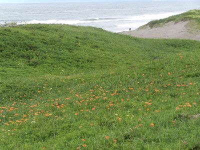 10706Hokkaido83.jpg