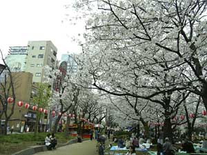 錦糸公園2.jpg
