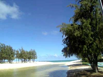 081106view29.jpg
