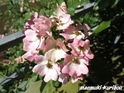 atami20.jpg