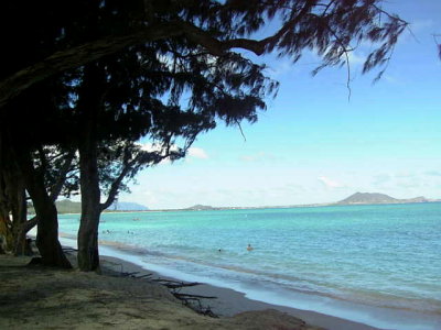 081106view27.jpg