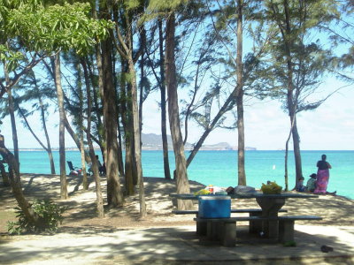 081106view34.jpg