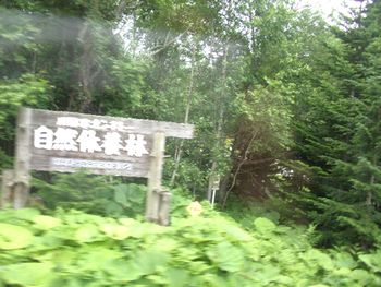 10706Hokkaido103.jpg