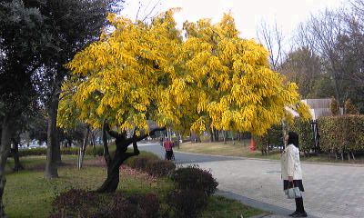 100301_141256.jpg