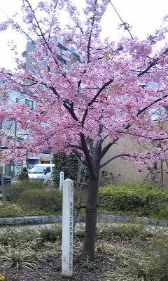 100301_152549.jpg
