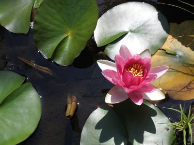 atami08.jpg