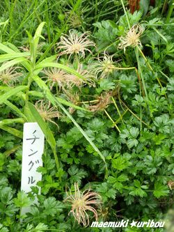 10706Hokkaido45.jpg