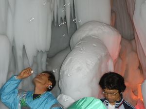 10706Hokkaido27.jpg