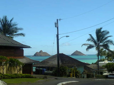 081106view41.jpg