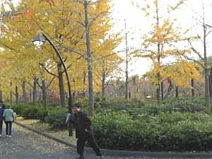 猿江恩師公園2.jpg