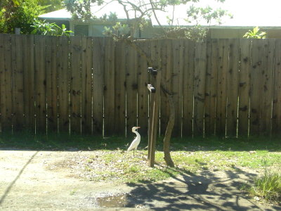 081106view49.jpg