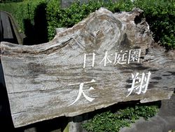 atami09.jpg