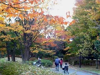 猿江恩師公園3.jpg