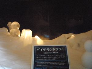 10706Hokkaido28.jpg