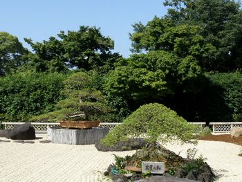 atami11.jpg
