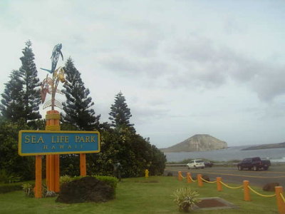 081104makapuu5.jpg