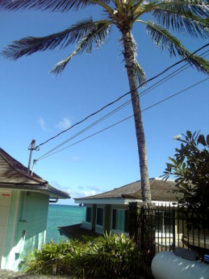 081106view43.jpg