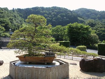 atami12.jpg