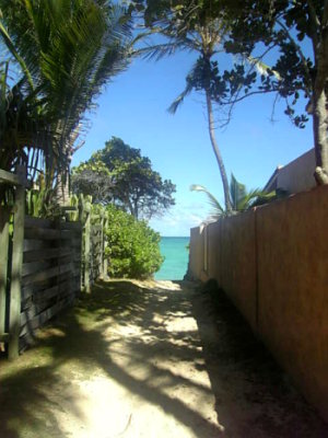 081106view46.jpg