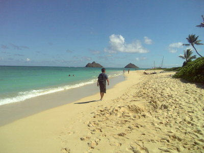 081106view53.jpg