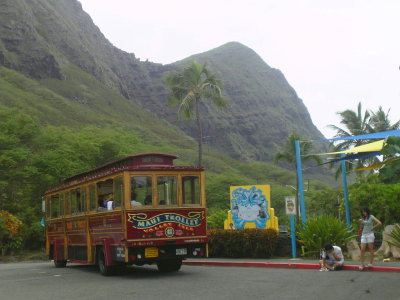081104makapuu12.jpg