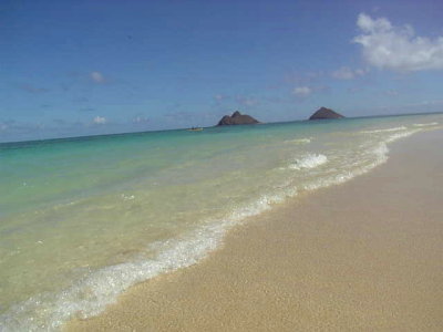 081106view54.jpg