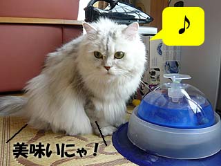 ユズ08022401