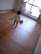 2008-03-06 13:30:52