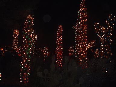 Zoo Light 2