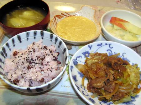 豚肉のみそ漬けと野菜炒め　他