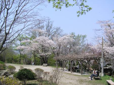 小樽公園２