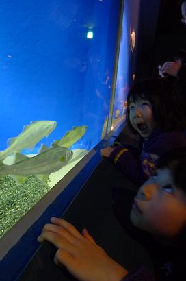 水族館