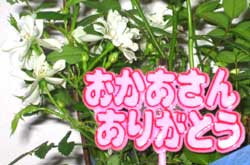母の日