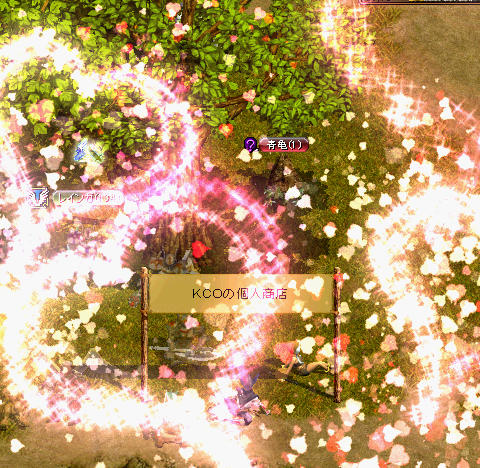 hanabi8.jpg