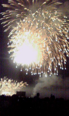 110803_2010~001.jpg