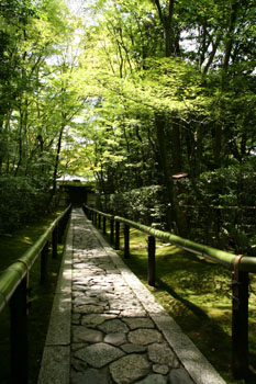 高桐院1