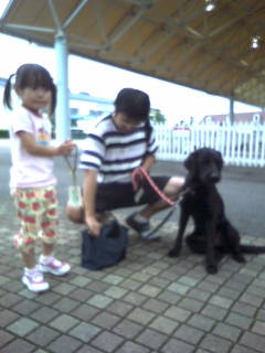 !cid_01@080903.100850@_____D704i@docomo.ne[1]