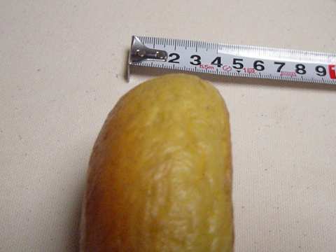 カレーベーグル2006.04.19