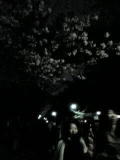 代々木公園２