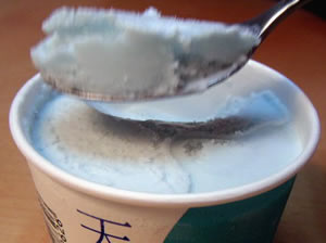 0811ice.jpg