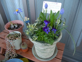 DSCN0223.JPG