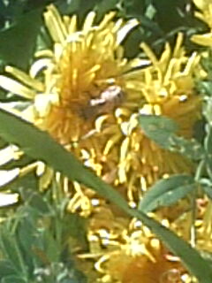 DCSA0007.jpg